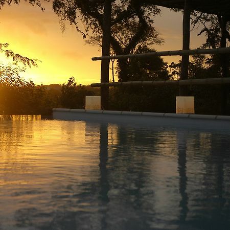 Raices Amambai Lodges 푸에르토이과수 외부 사진