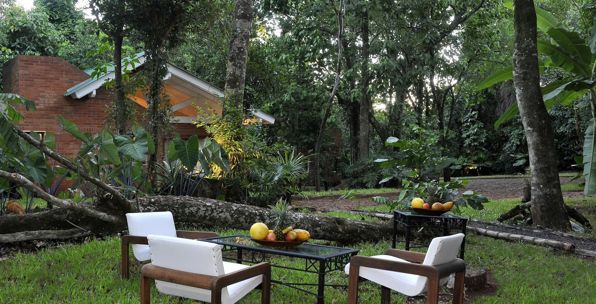 Raices Amambai Lodges 푸에르토이과수 외부 사진